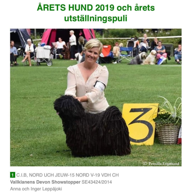 Kafka Årets hund i SvkFUR 2019